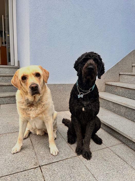 Happy und Timmy von Schütz Beschriftungen Schilder in Alkoven